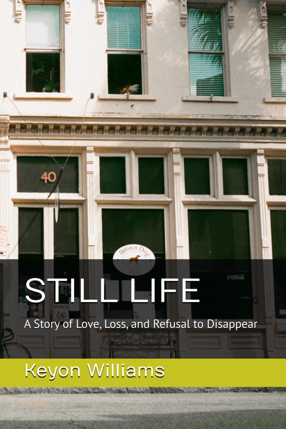 STILL LIFE: A Story of Love, Loss, and Refusal to Disappear