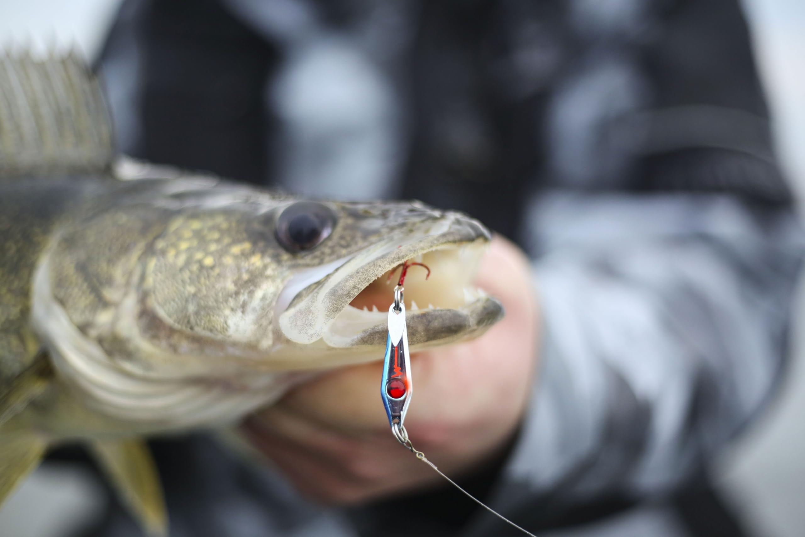 Northland Tackle Tungsten Slim Spoon, Fast-Sinking Thin Profile Ice Fishing Lure for Walleye, Crappie, & More, 1/4 Oz, Purple Racecar