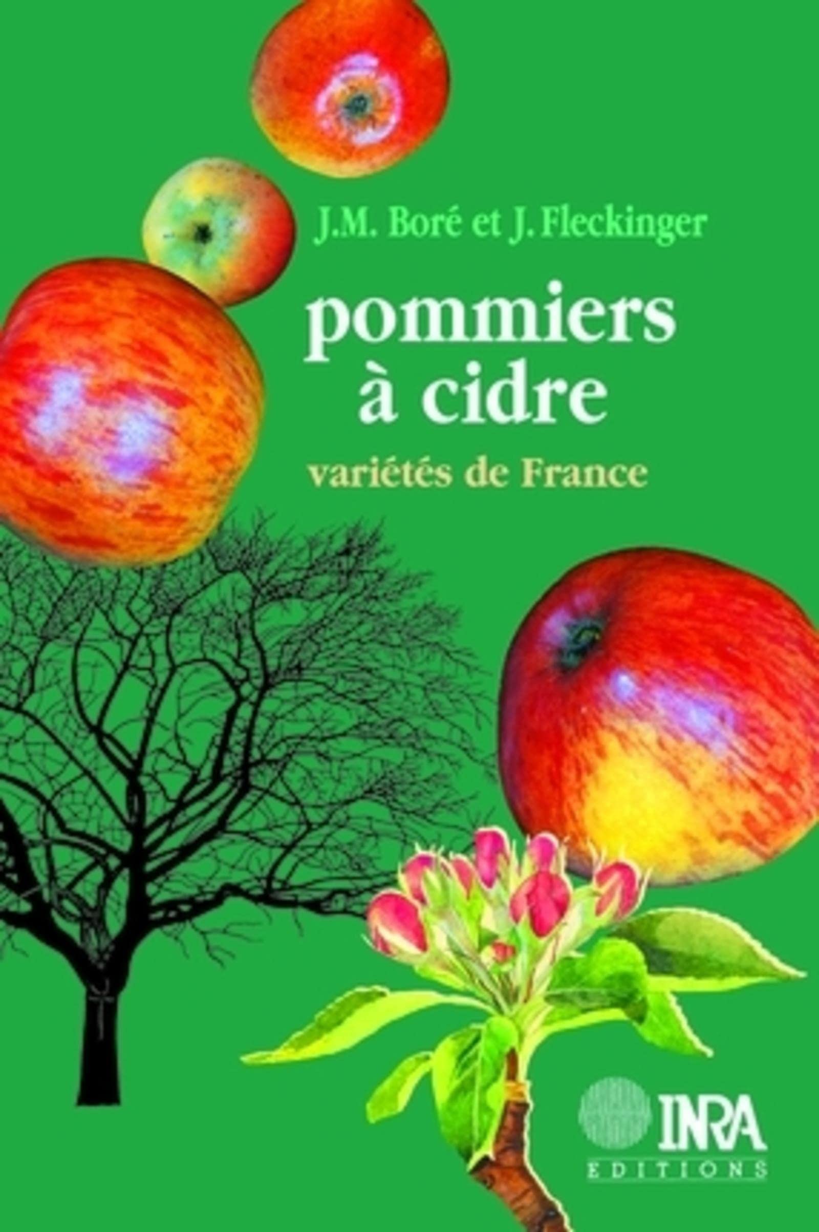 Pommiers à cidre: Variétés de France