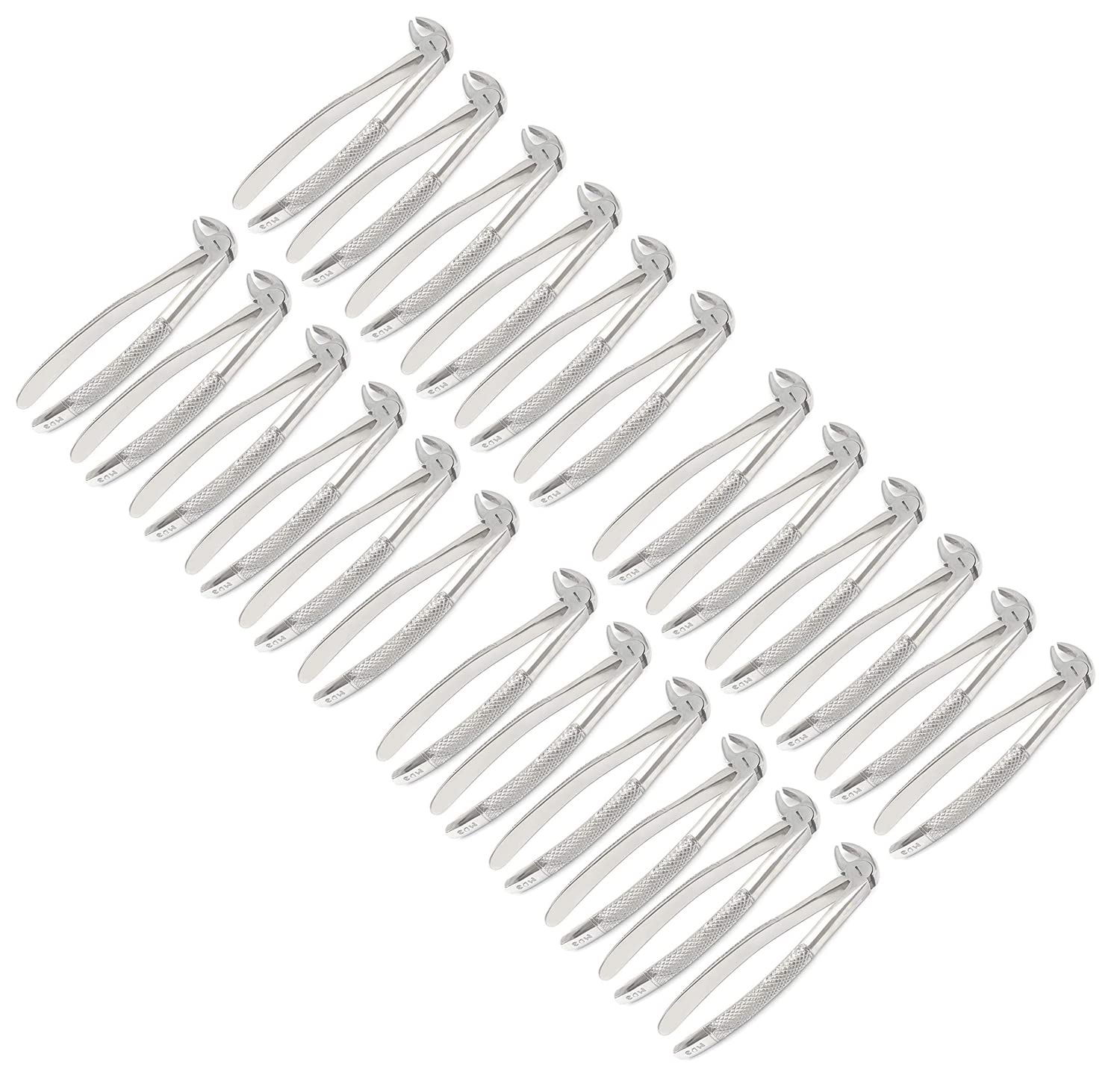 AAPROTOOLS Set of 24 Dental EXTRACTING Forceps #MD3 Dental Extraction Instruments A+ Quality