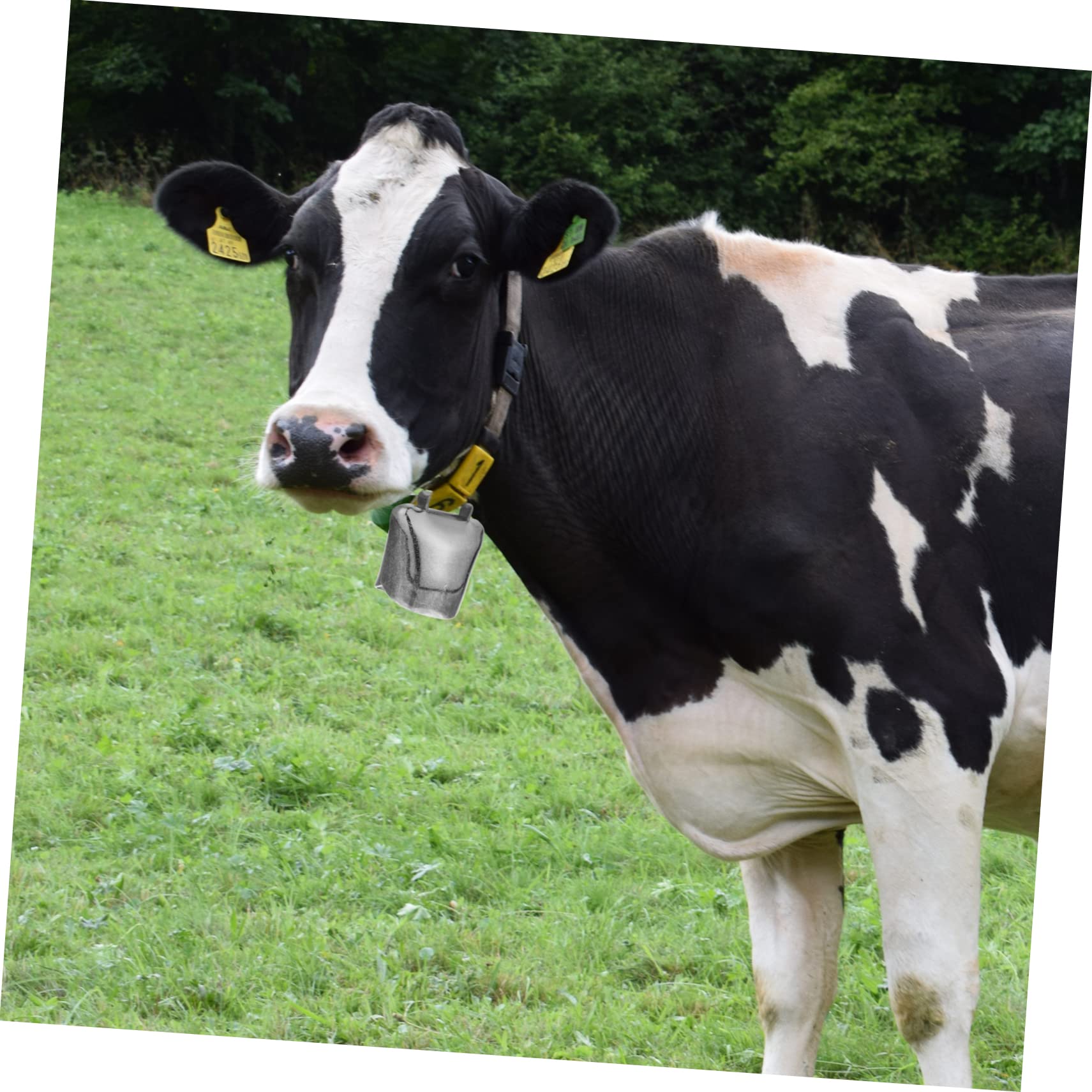 Homoyoyo 10pcs Animal Bells Sheep Bells and Collars Metal Cattle Bells Pet Bell Dec