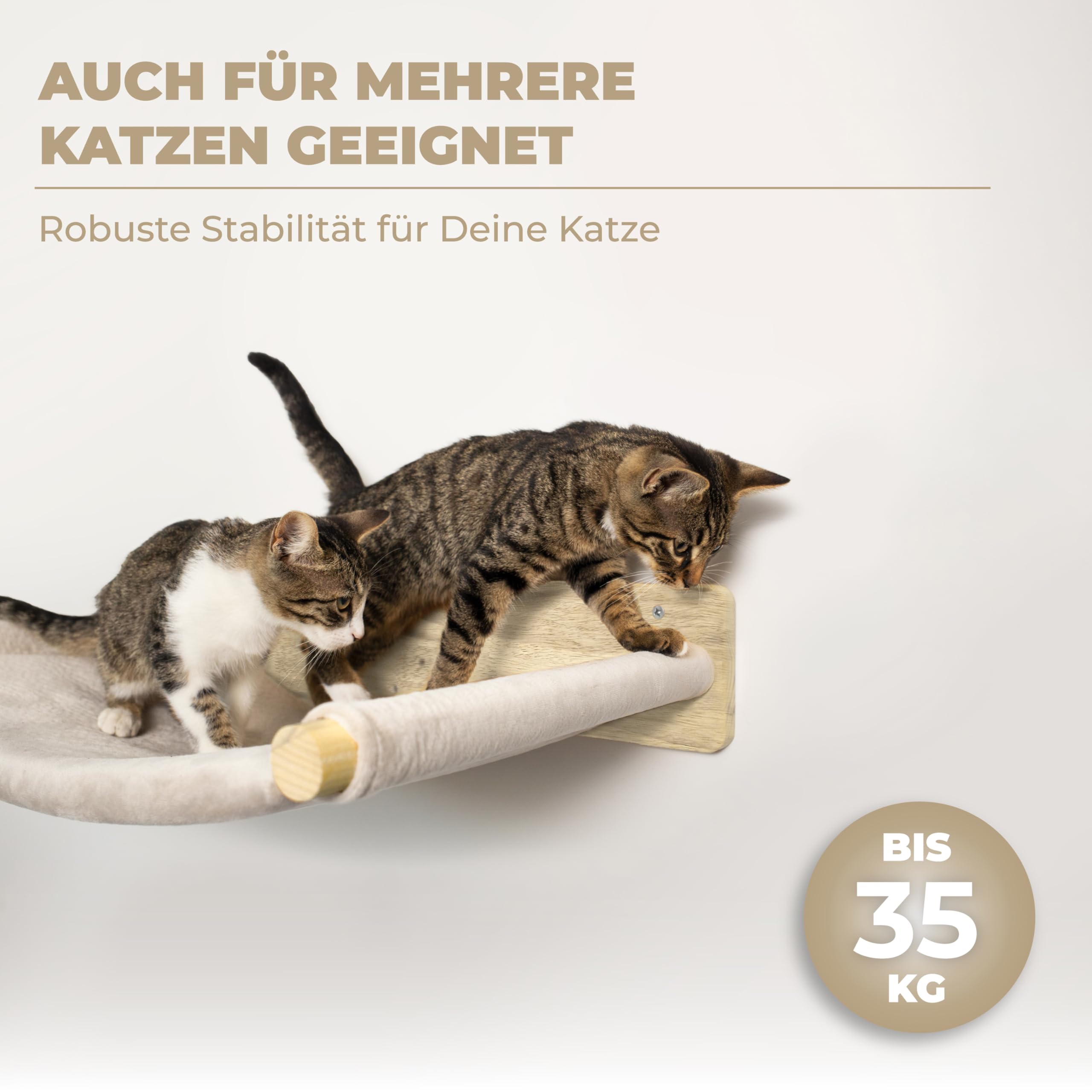 WOOWOOD® Pared de escalada para gatos – 2X Escaleras de pared para gatos [Madera maciza] – Rascador para pared – Hamaca para gatos – Rascador de pared – Muebles para gatos – Pared para gatos – Set de