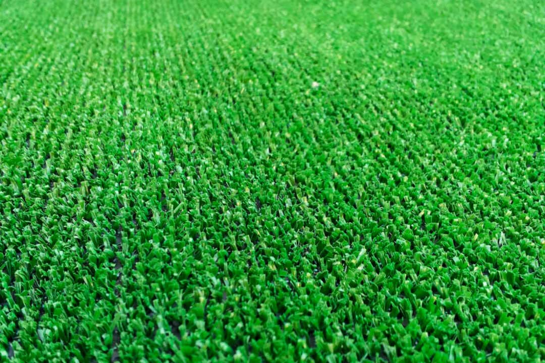 Erba Sintetica - Verde 01 - Spessore 7 mm - Larghezza 100x2500cm - Lunghezza al Metro