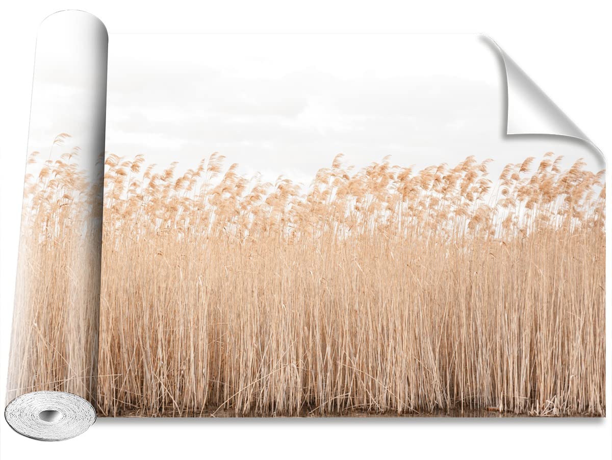 Papier peint étang moderne Tulup 208x146cm pour décoration murale de maison