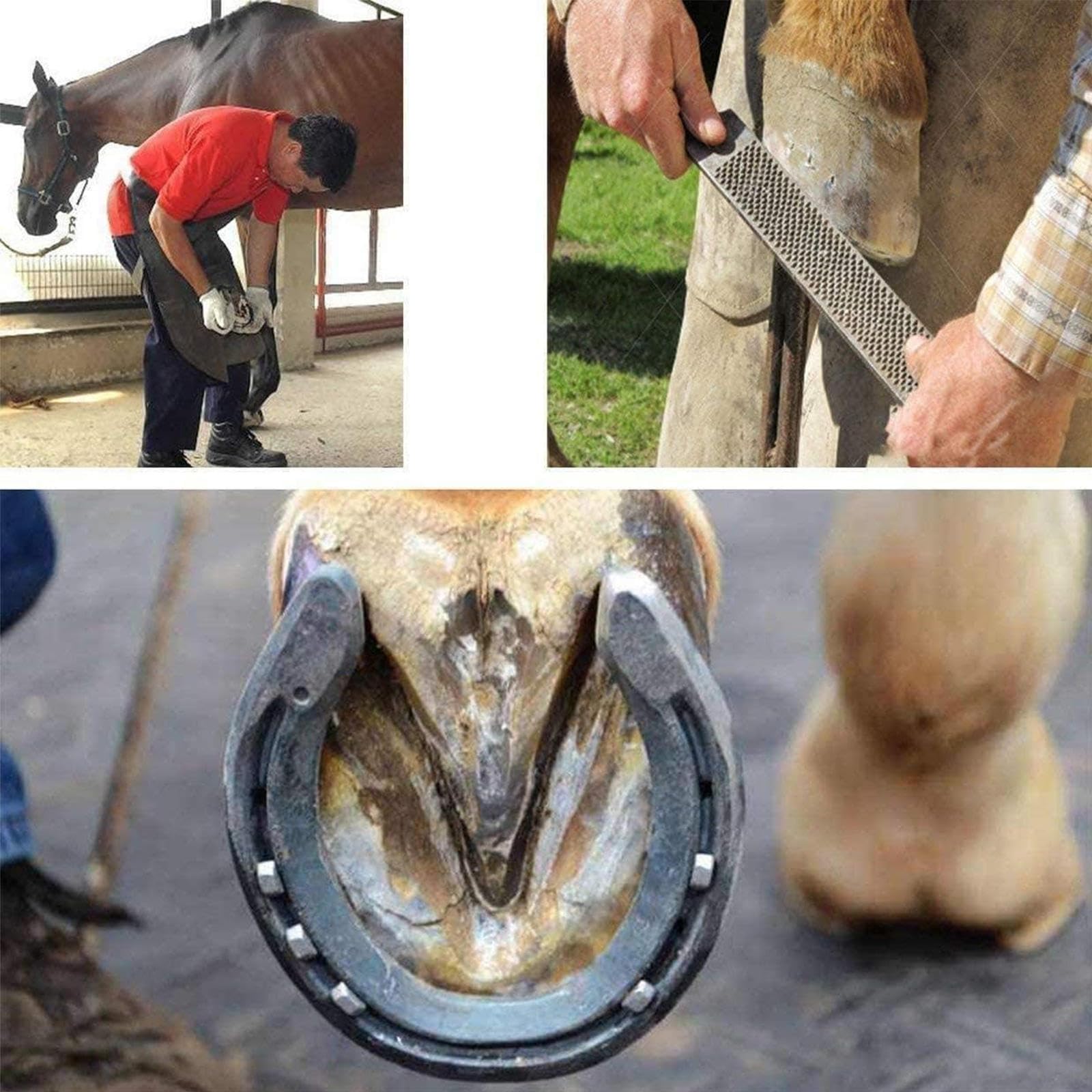 3 Szt. Zestaw Narzędzi Horse FarrHorse Farrier, Szczypce Do Podków, Narzędzie Do Przycinania Podków, Odpowiednie Dla Koni/osłów, Zestaw Tarników Do Kopyt Narzędzia Kowalskie