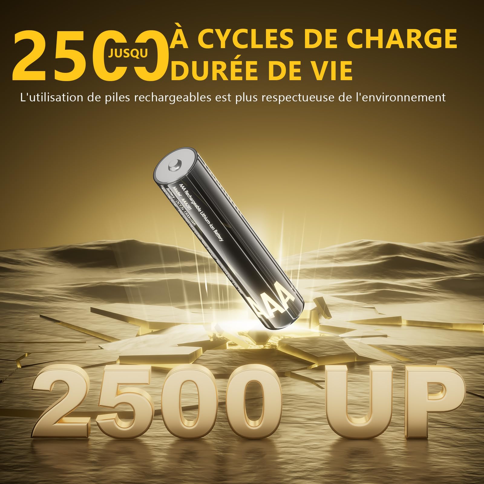 Piles au Lithium Rechargeables avec Chargeur (4 piles AA + 4 piles AAA), Organisateur de batterie, 3700 mWh Haute Capacité - 2500 Cycles Longue Durée - Chargeur Rapide Inclus