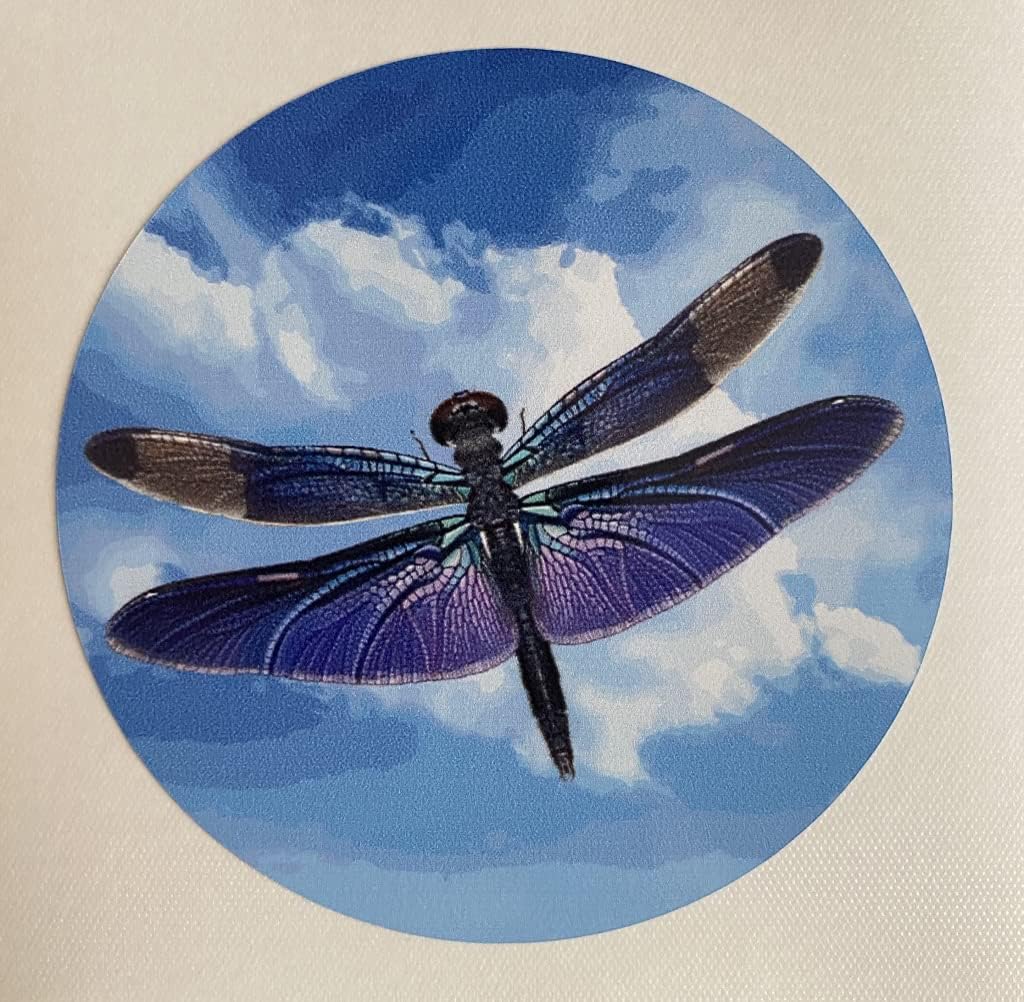 Retractable Screen Door Decals (Stickers) - 6 per Package - Keep Children Safe - Alert Birds, Dogs, Kids - Warn, Protect, Window Safety - Dragonflies