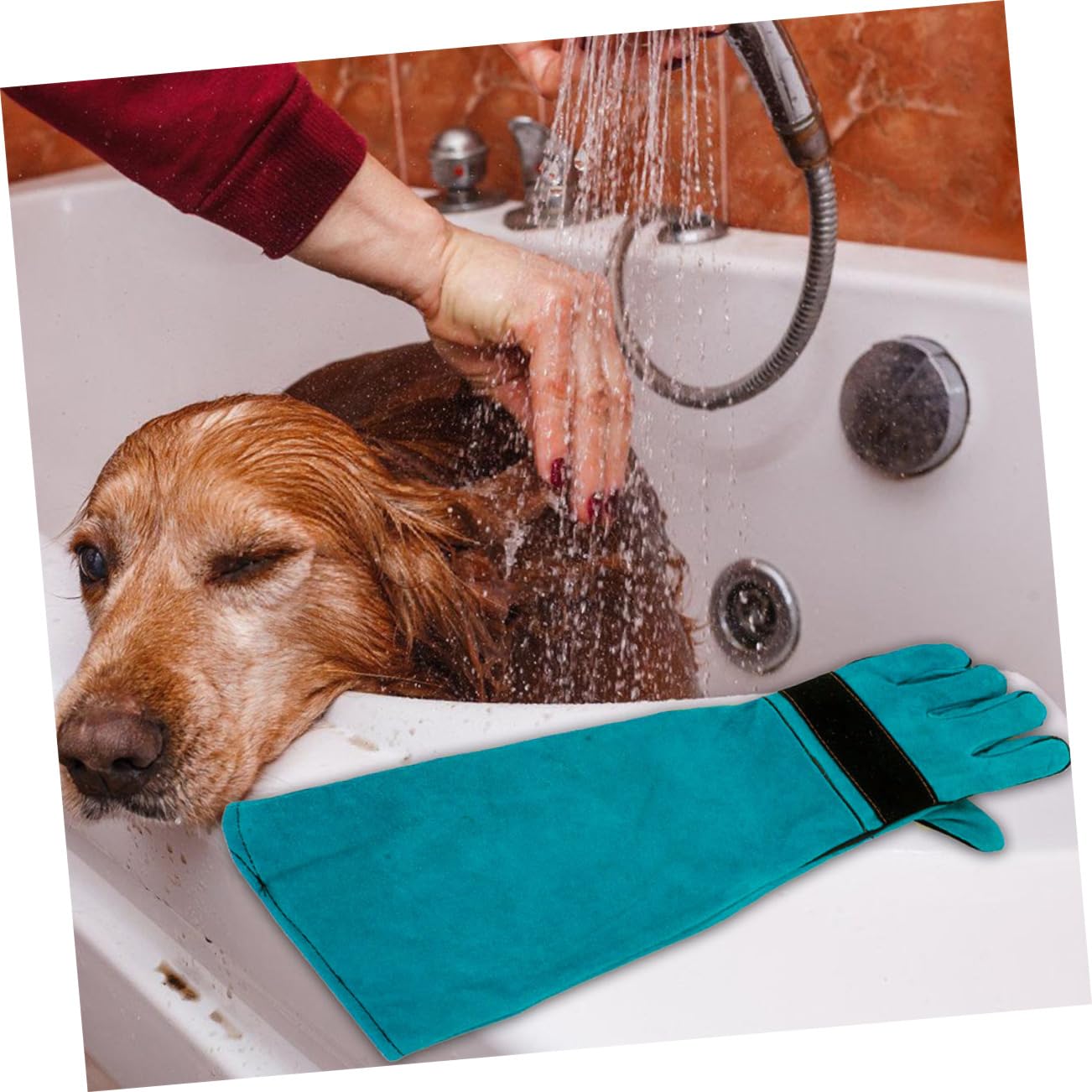Toyvian Guanti Antimorso per Animali in Similpelle per Toelettatura e Manipolazione Maniche Lunghe per Alimentazione e Bagno degli Animali Blu