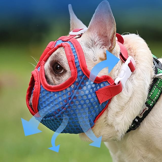 Foto 3 de 8 de Bozal corto para perro, bozal corto para perro, para bozal francés