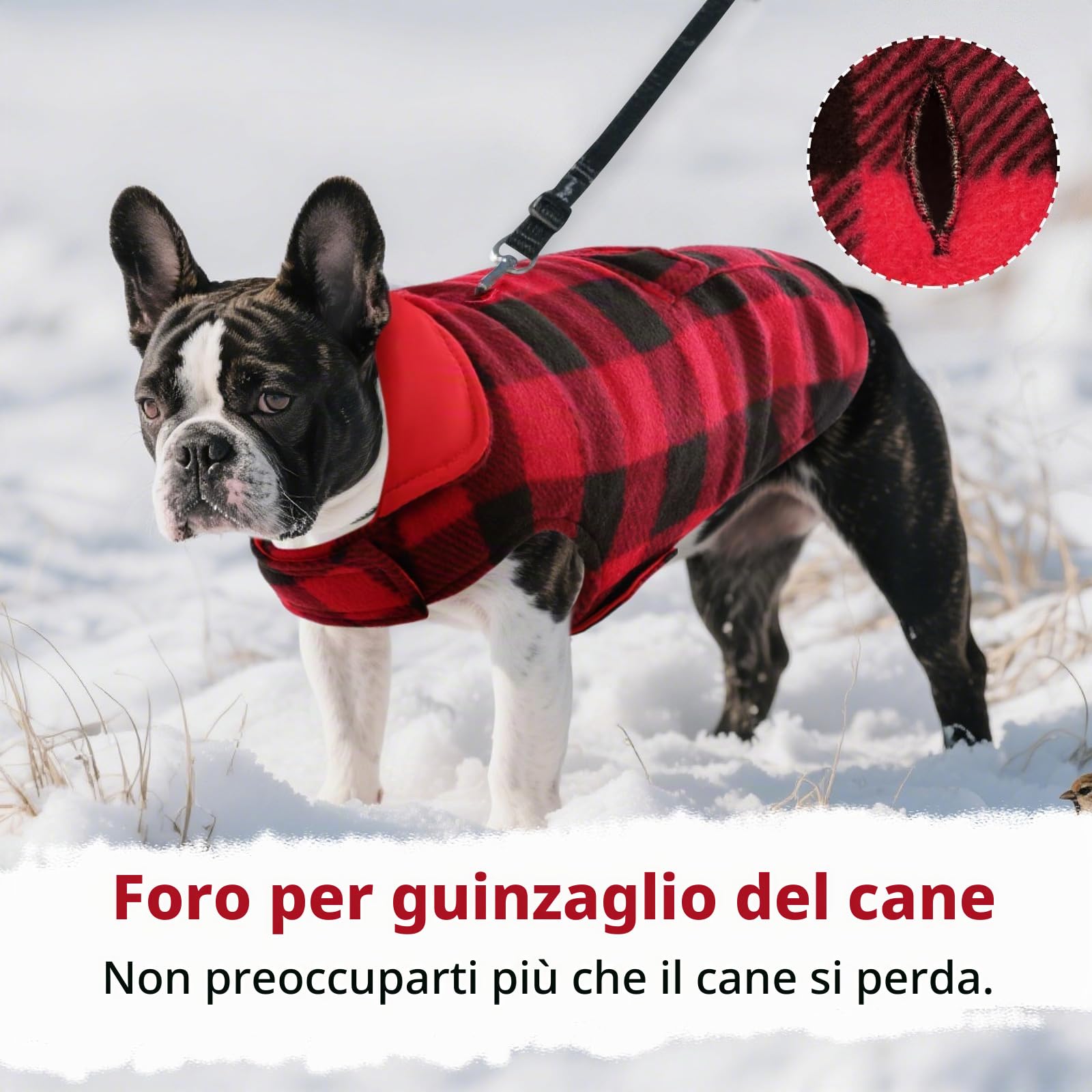 ASENKU Cappotto Cane Impermeabili Invernale, Cappottino Cane Reversibile Antivento Freddo Taglia Media M, Calda Giacca per Cani,Gilet per Cani con Fodera in Lana Protegge Dal Freddo