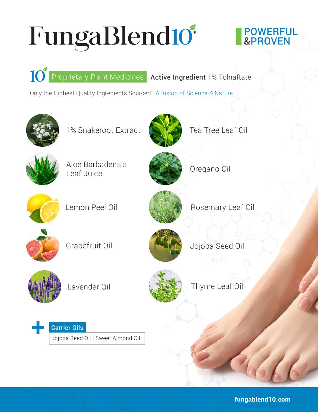 FungaBlend 10 - Antifungal Medication:1% Tolnaftate and 10 Plant Medicines -Toenail Fungus Treatment for Nail Repair Gel, Athletes Foot, Jock Itch, Ringworm -Topical Solution for Toe and Finger Nail - Image 2