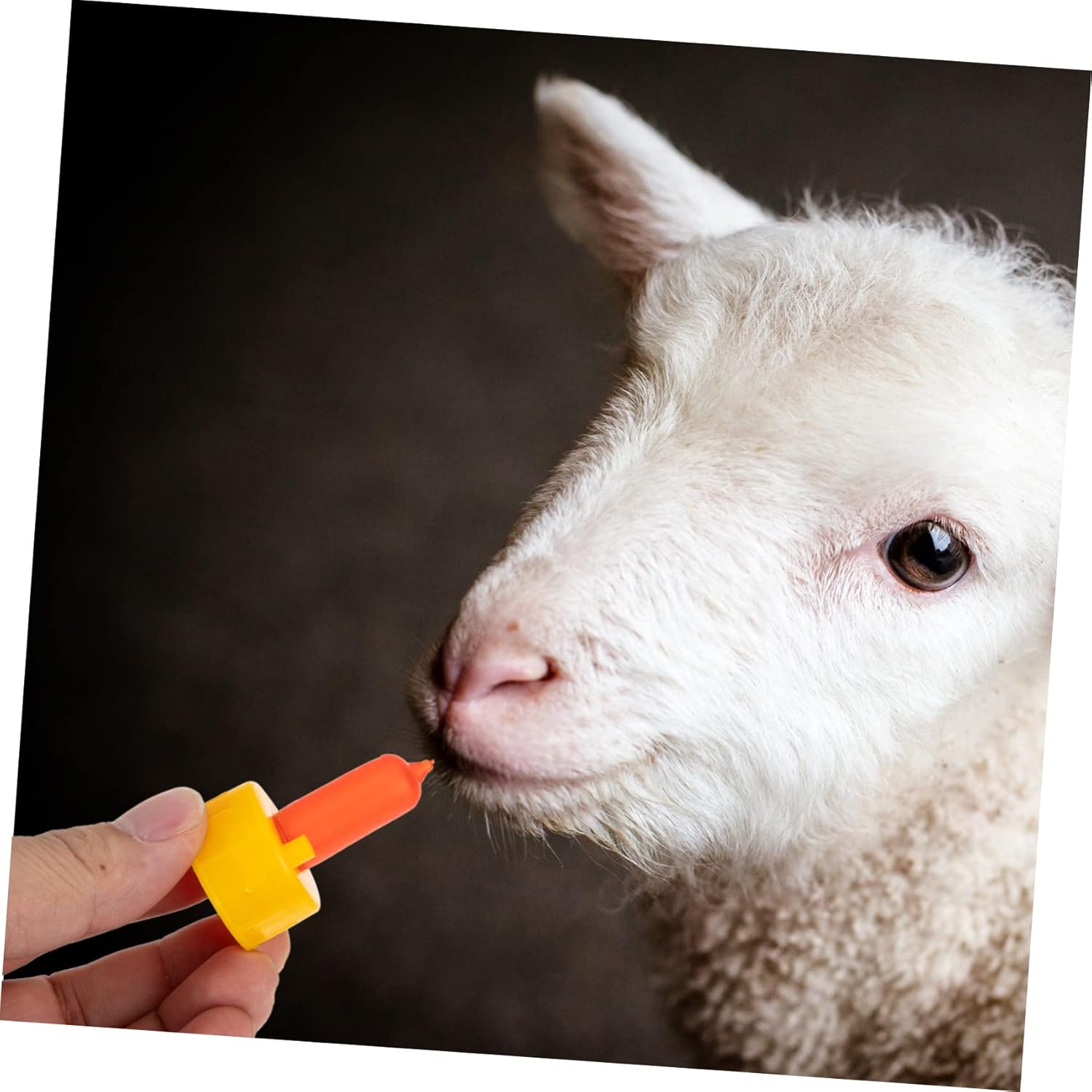 5sets Animal Nursing Bottle Nipples for Lambs Sheep Pigs More Durable Feeding Supplies with Thickened Texture for Easy Use and Excellent Strength 10pcs*5