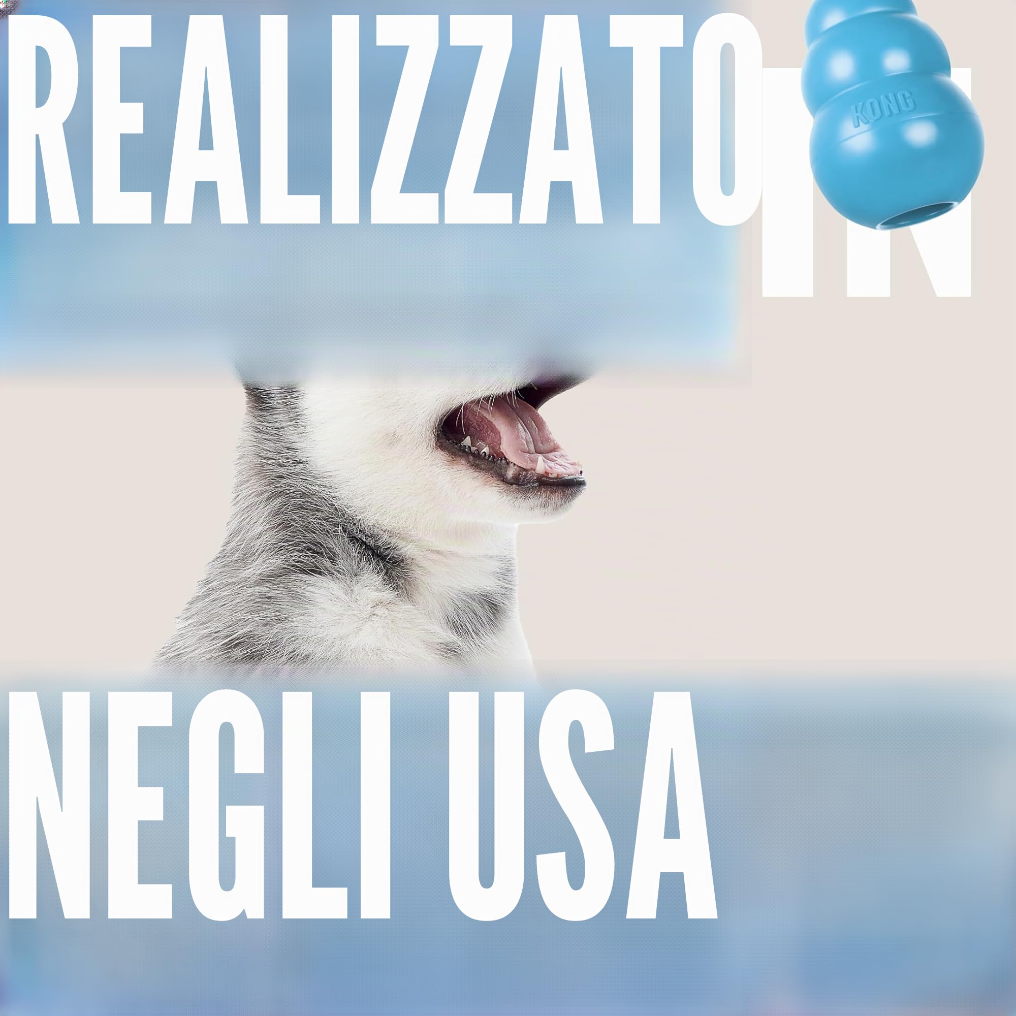 KONG Puppy Giocattolo Da Masticare Impagliabile Per Cuccioli Gomma Naturale Blu Taglia Media