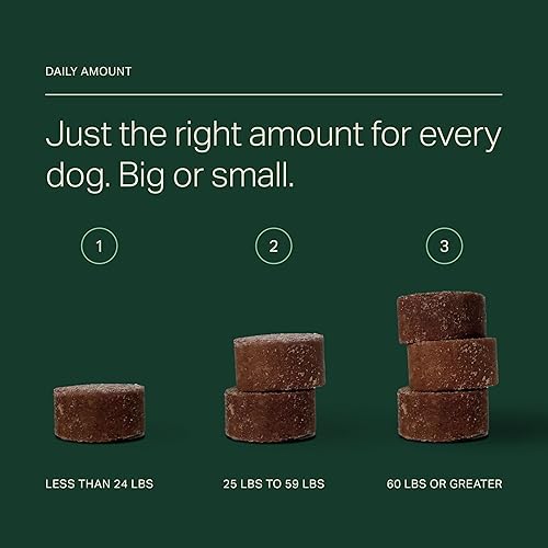 Miniatura 6 de Longevity+ Suplemento para la salud del perro, apoyo cognitivo, apoyo articular, apoyo inmunológico