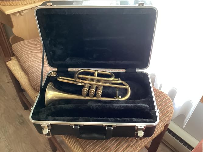 Amazon | SKB コルネット用ハードケース 1SKB-325 | 金管楽器ケース