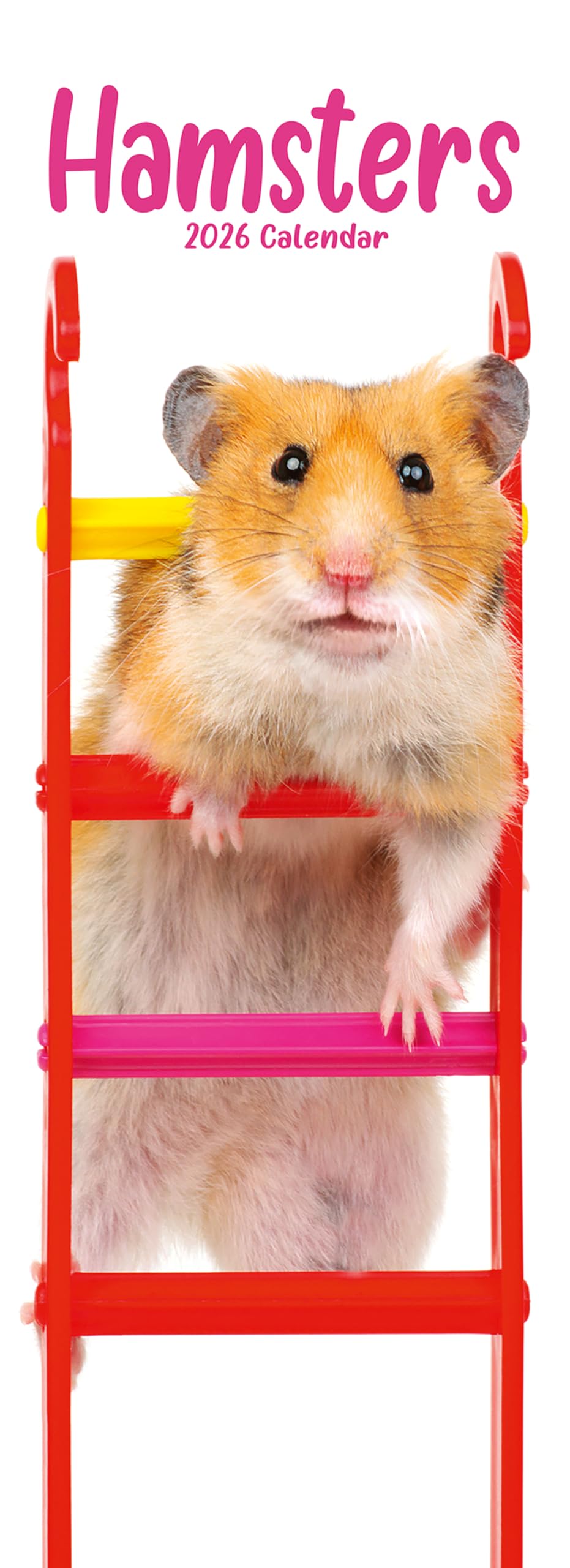 Hamsters Slim 2026 Calendar | Slimline Wall Calendar | Animal Gift | Plastic Free Packaging | by Avonside Publishing