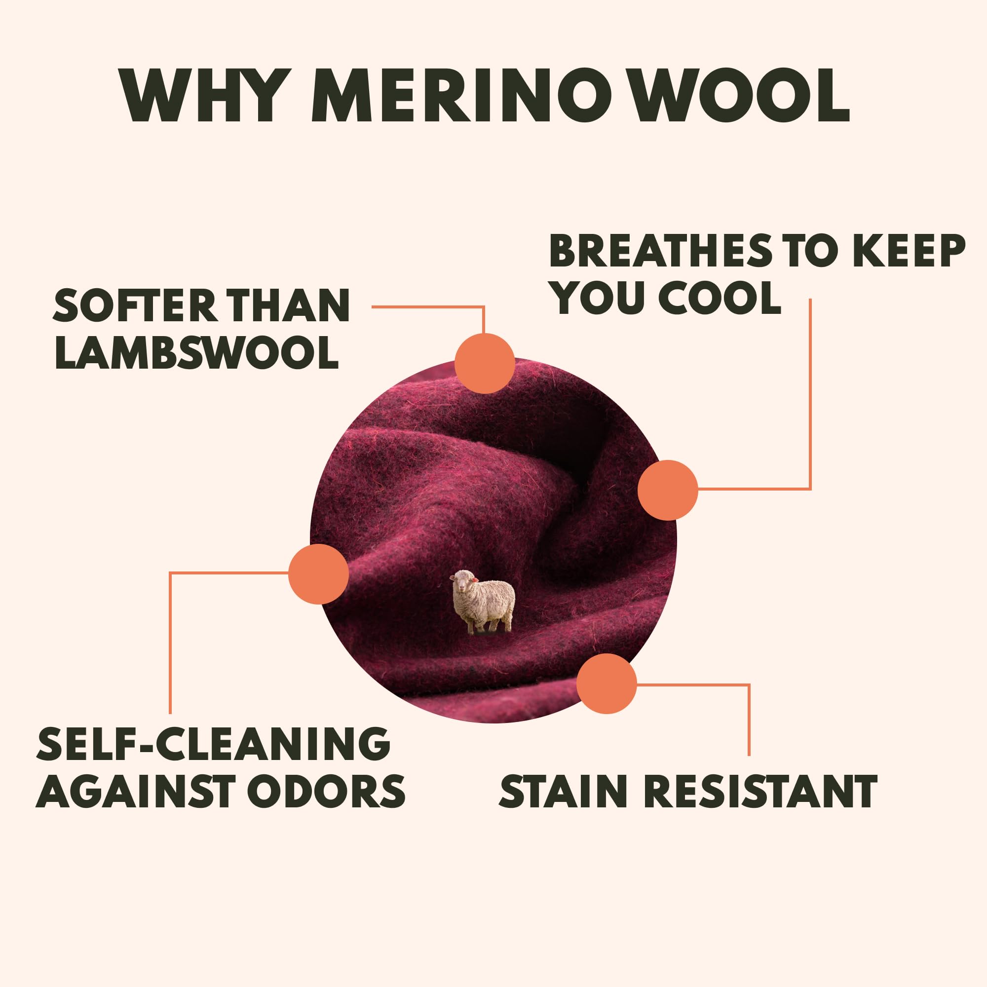 Amazon.com: Woolly Mammoth Woolen Company Merino Wool Blanket