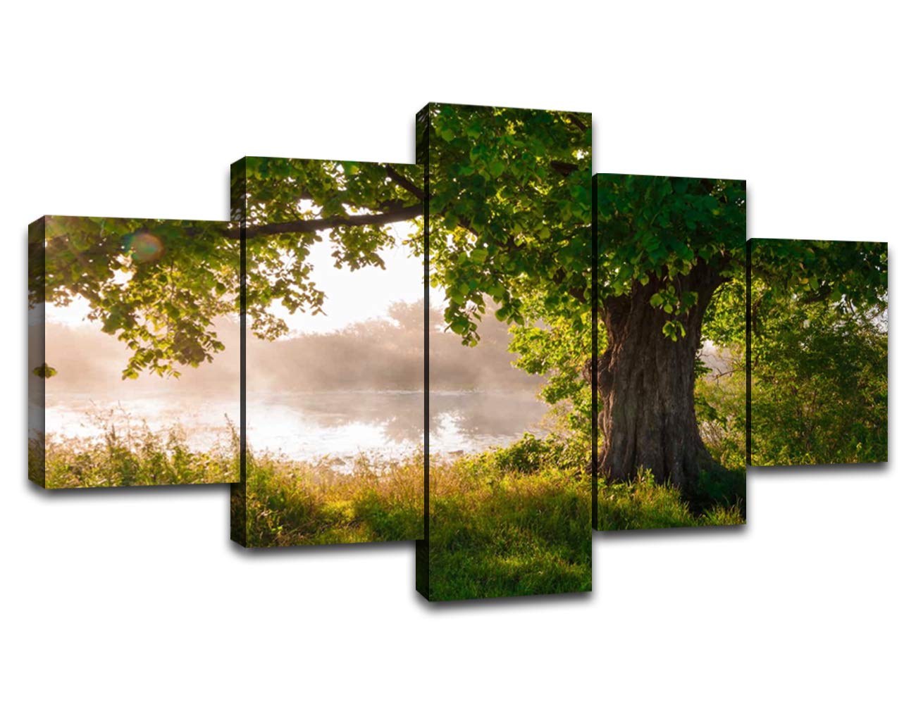 Oak Tree Wall Art Tree of Life Pictures Cumberland Forest Wall Decor Framed Nature Landscape Canvas Print Green Tree Scenery Painting Poster Home Living Room Bedroom Decorations(60''Wx32''H)