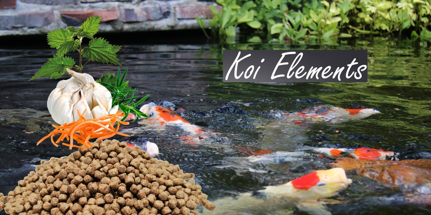 Koi Elements Koifutter Kräuter + Immun für Koi Fisch Futter (5kg)