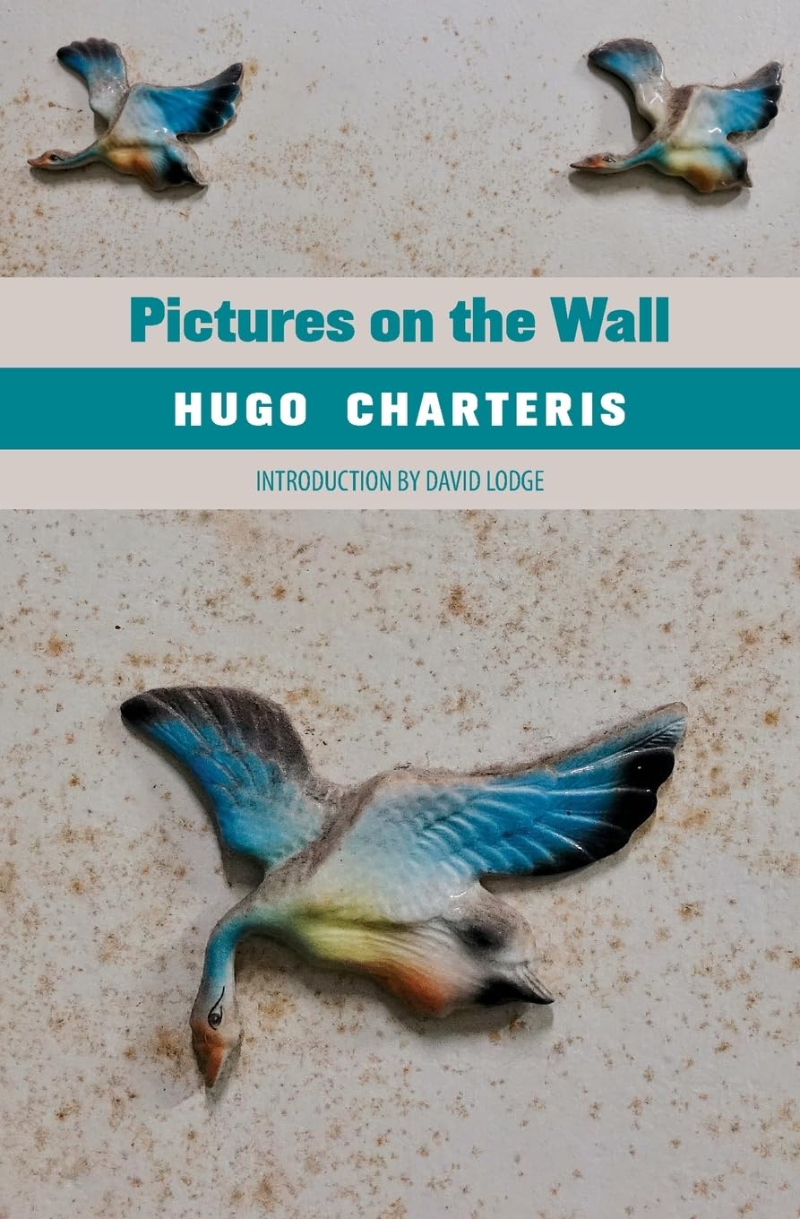 Hugo Charteris Unisex Multicolor Pictures On The Wall Book - Paperback