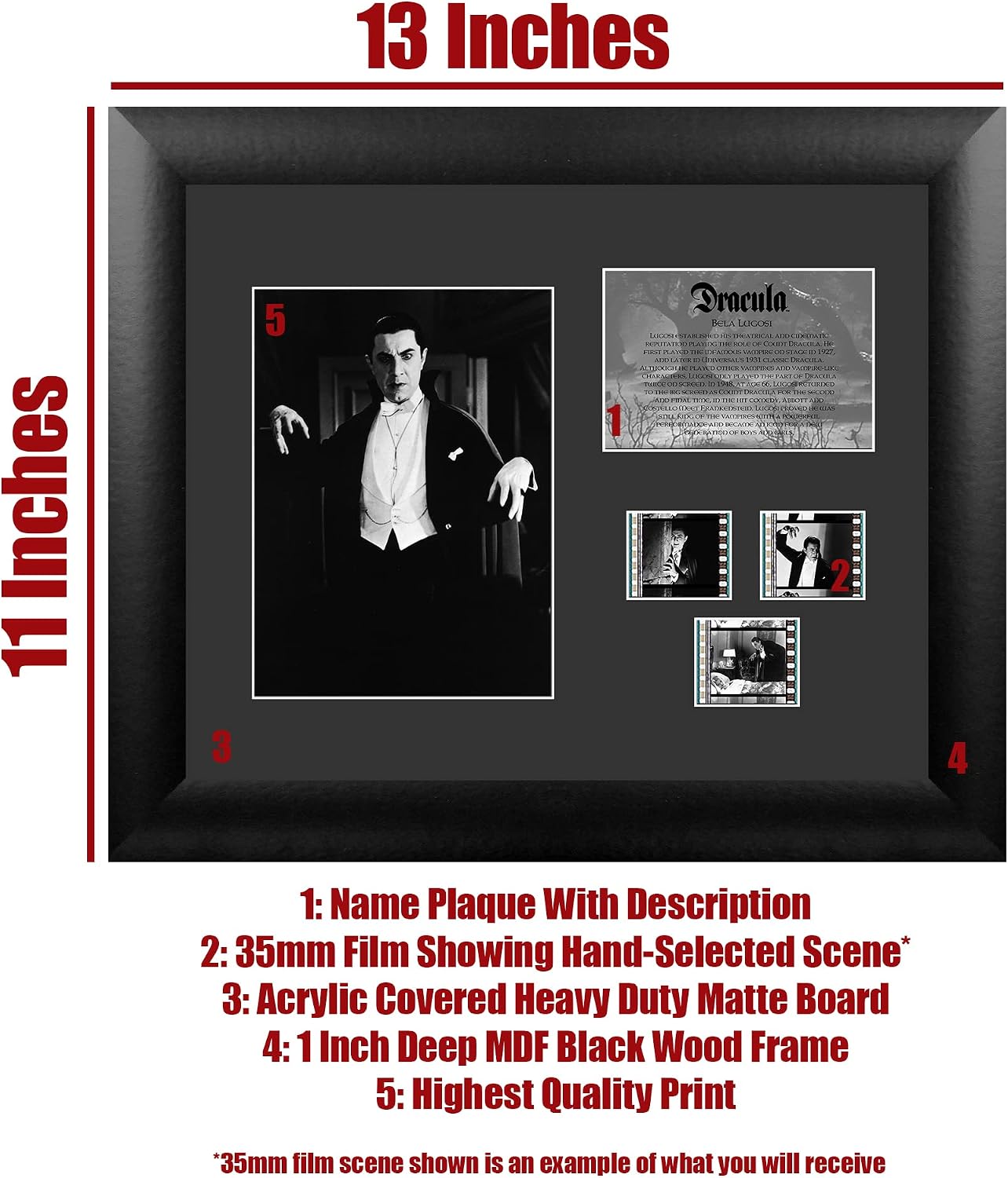 FILMCELLS Dracula (Bela Lugosi - 1931) Universal Monsters Framed Wall Art Presentation -3x Clips of 35mm Film - 13x11 - Rare Collectible USFC2424