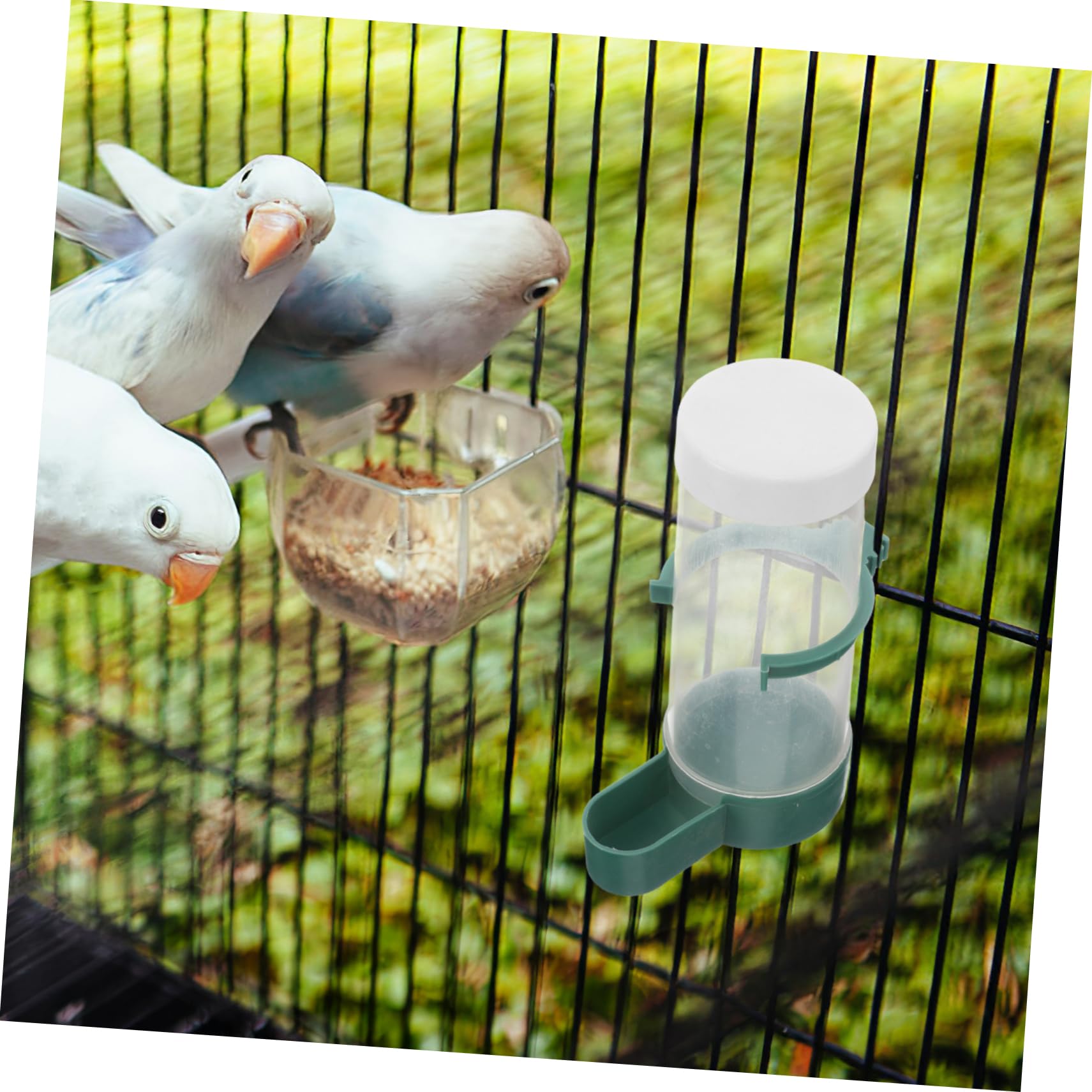 20stücke Automatischer Vogelfutter Und Wasserspender Für Käfige Praktisches Futter Und Wasserbehälter Papageien Wellensittiche Und Andere Vögel Einfach Nachfüllbar Minimiert