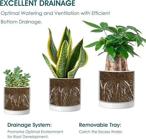 Miniatura 3 de vancasso Macetas de cerámica, 3 macetas para plantas de interior, macetas de 4.25 + 5.25 + 6.25 pulgadas con drenaje, macetas de interior para