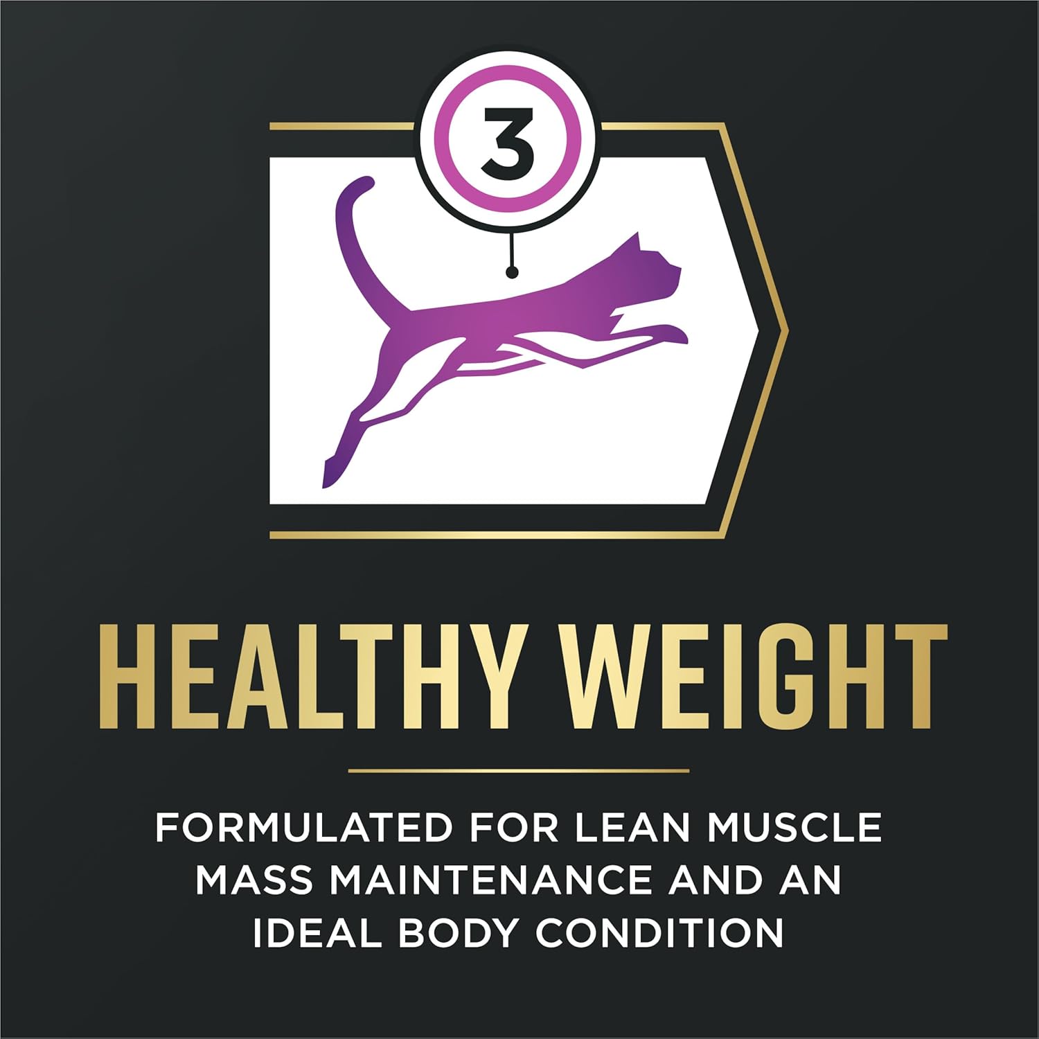 Purina Pro Plan AdvantEDGE Senior Support Plus Adult 7 Plus Chicken and Rice Formula Dry Cat Food - 5 lb. Bag