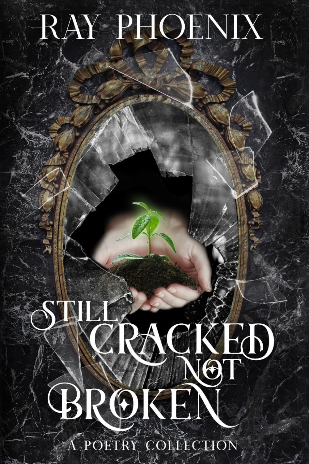 Still Cracked Not Broken: A Poetry Collection