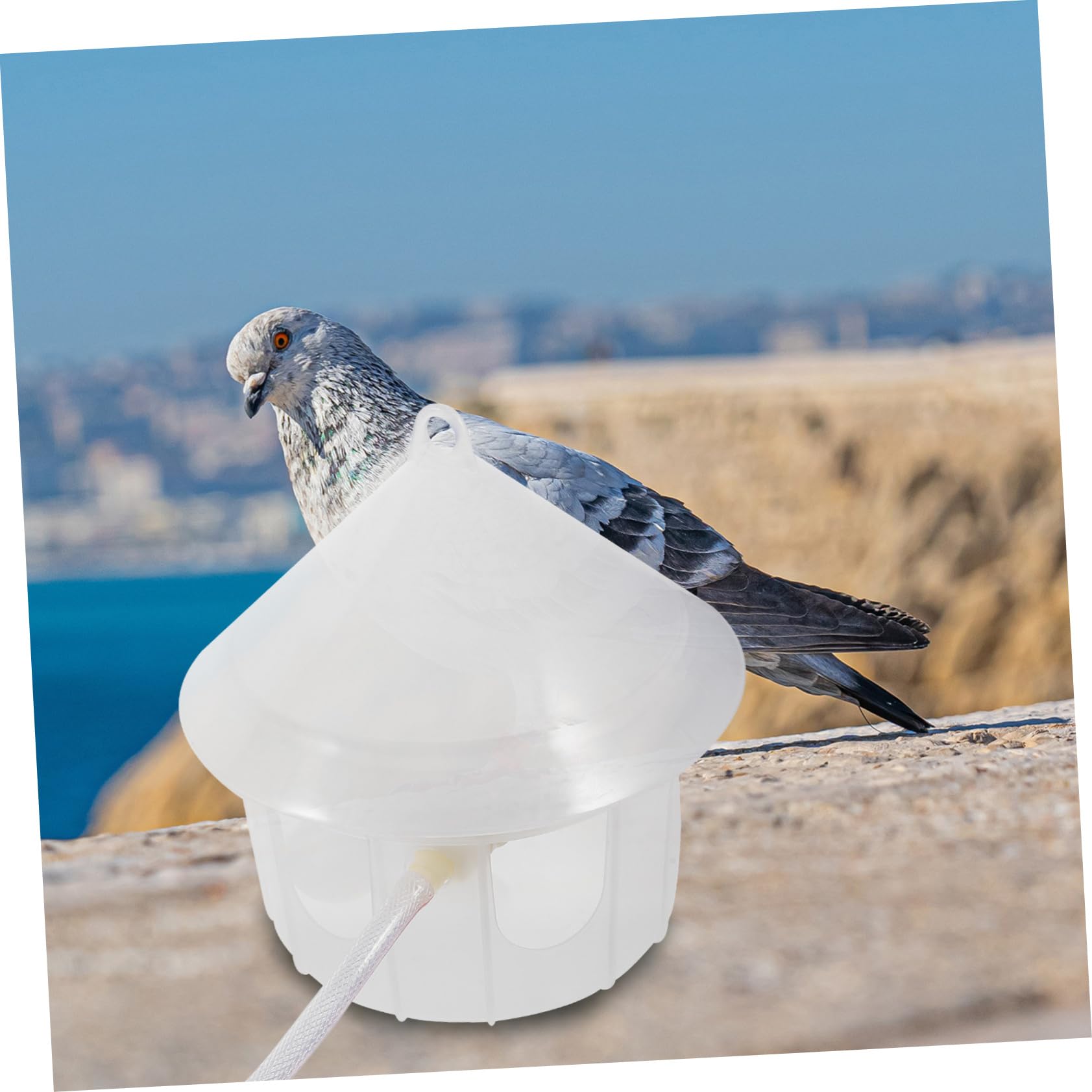 Abreuvoir Automatique en Plastique pour Pigeons, Fixation la Cage