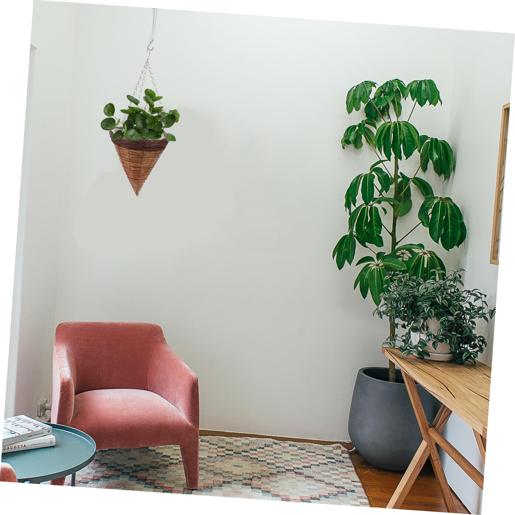 TOYANDONA Crochet pour Plante en Plastique 50 Pièces, Crochet Suspendre
