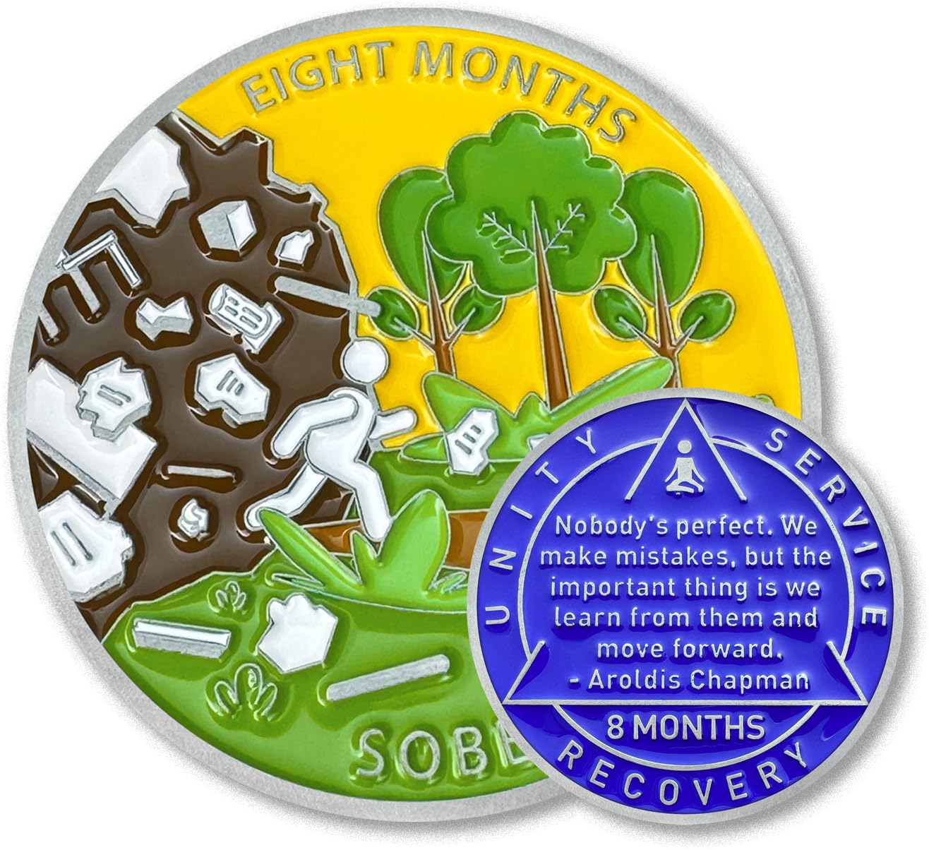8 Month Sobriety Coin Sobriety Chips AA Chip AA Coins Sober Token Recovery Medallion NA Chips NA Coins from 1 to 12 Months Plastic case Included-Baking Paint Process