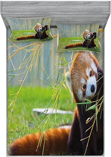 Miniatura 82 de Ambesonne Juego de sábanas bajeras y fundas de almohada de los años 90, patrón geométrico en estilo retro, formas redondas de triángulo de media