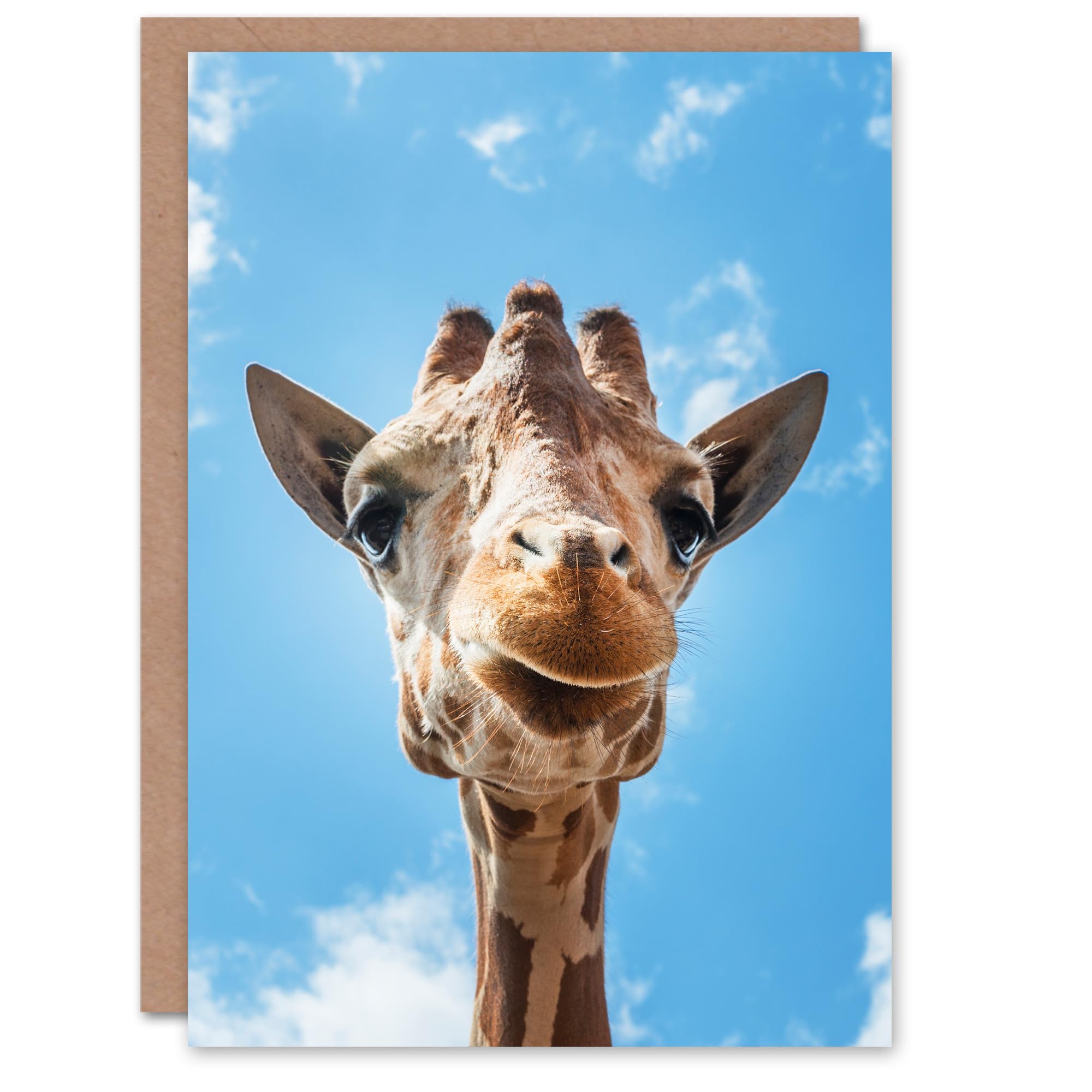 Artery8 Carol M Highsmith Art Card Giraffe Head Up Close Look