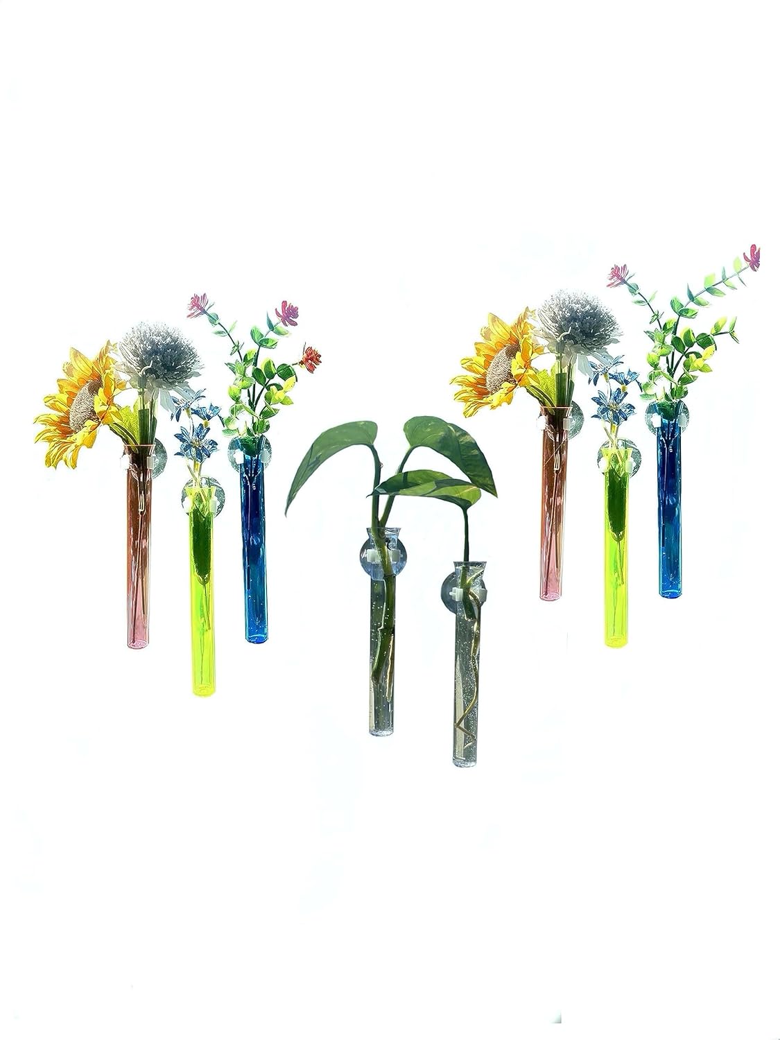 Propagation vases, 8 Colored Plastic Vases with Suction cup