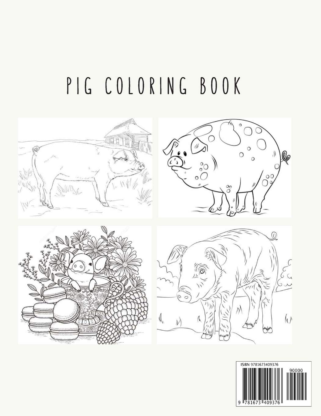 Pig Coloring Book: Pig Toy Gifts for Toddlers, Kids Ages 4-8 ,Girls 4-8, 8-12 or Adult Relaxation | Cute Easy and Relaxing Realistic Large Print Birthday Gifts image 2