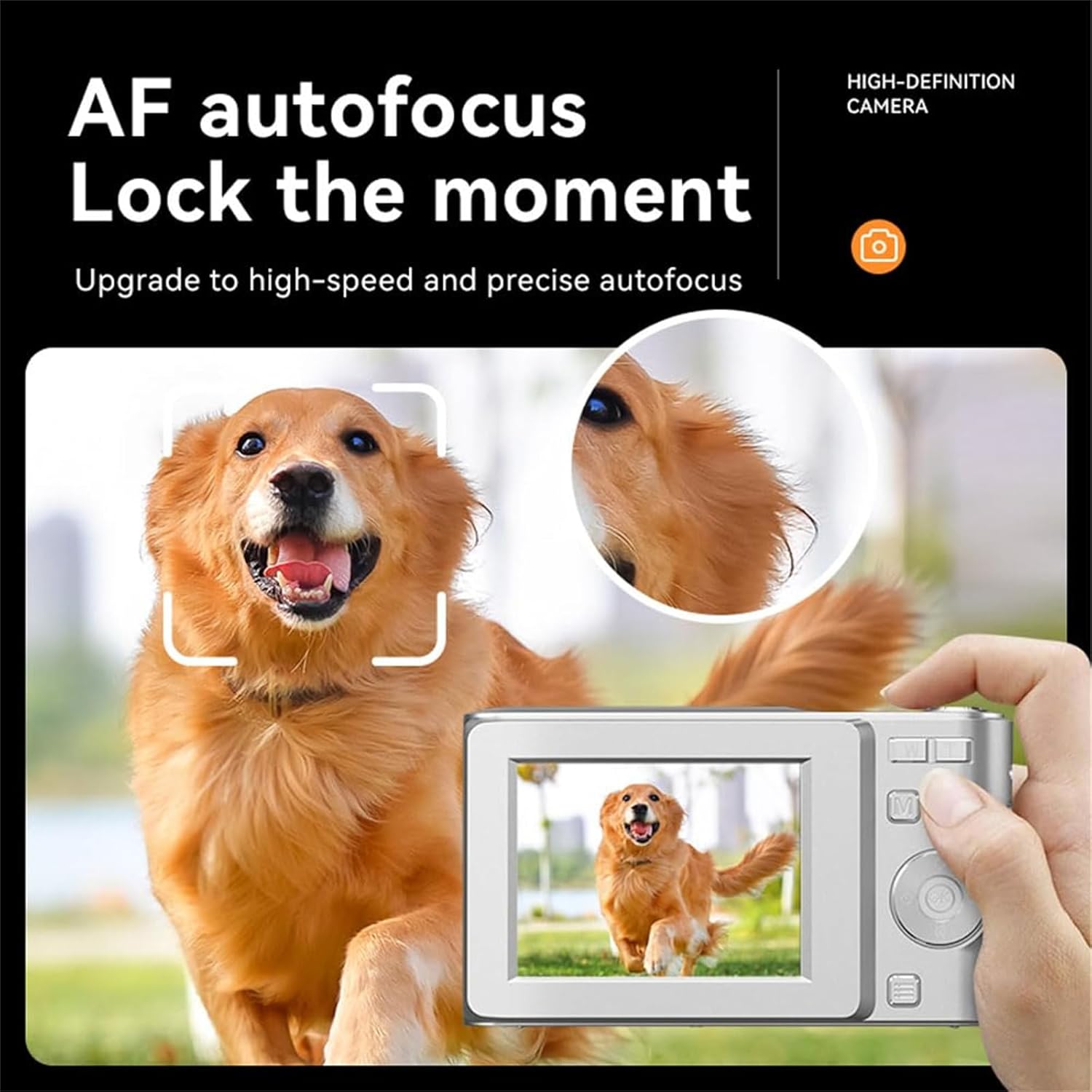 Camera screen showing autofocus in action on a dog's face