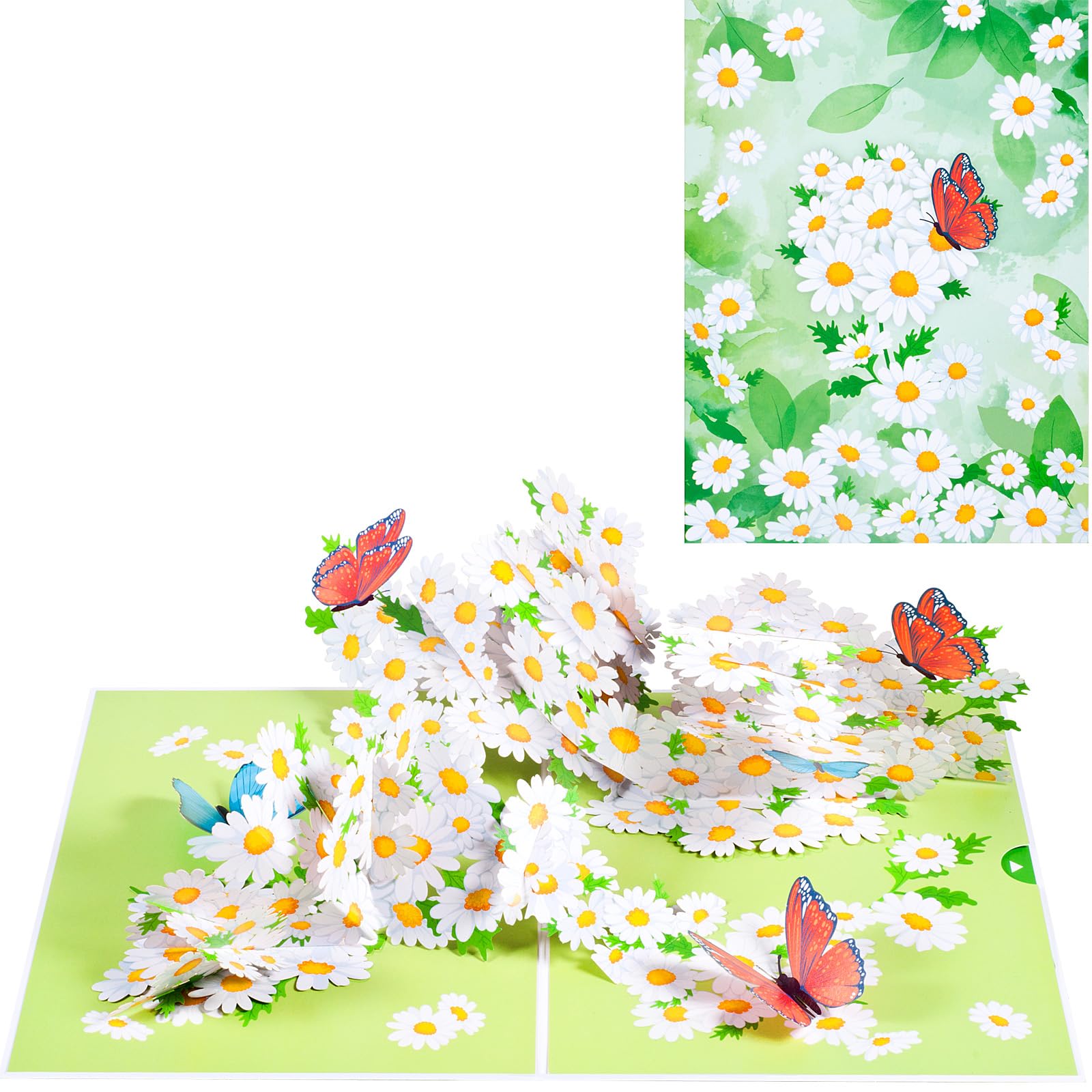 ANEWISH 3D Birthday Card, Pop Up Daisy Greeting Card, Friendship, Gift, Surprise, Encouragement Card