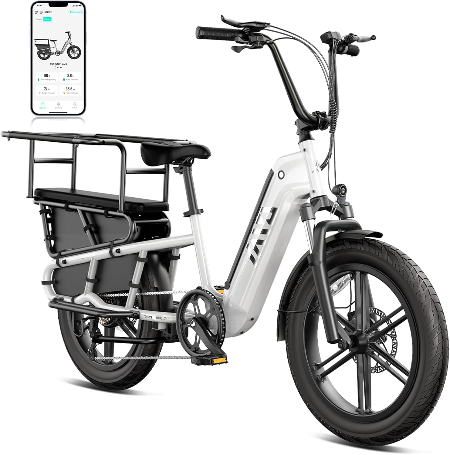 TST Electrical Bike for Adults, 1500W Peak Motor Ebike with 48V 15Ah Detachable Battery 28 MPH 60 Miles Fats Tire Cargo E Bike, Rear Rack, Basket, 7 Velocity, Step-Via Electrical Bicycle