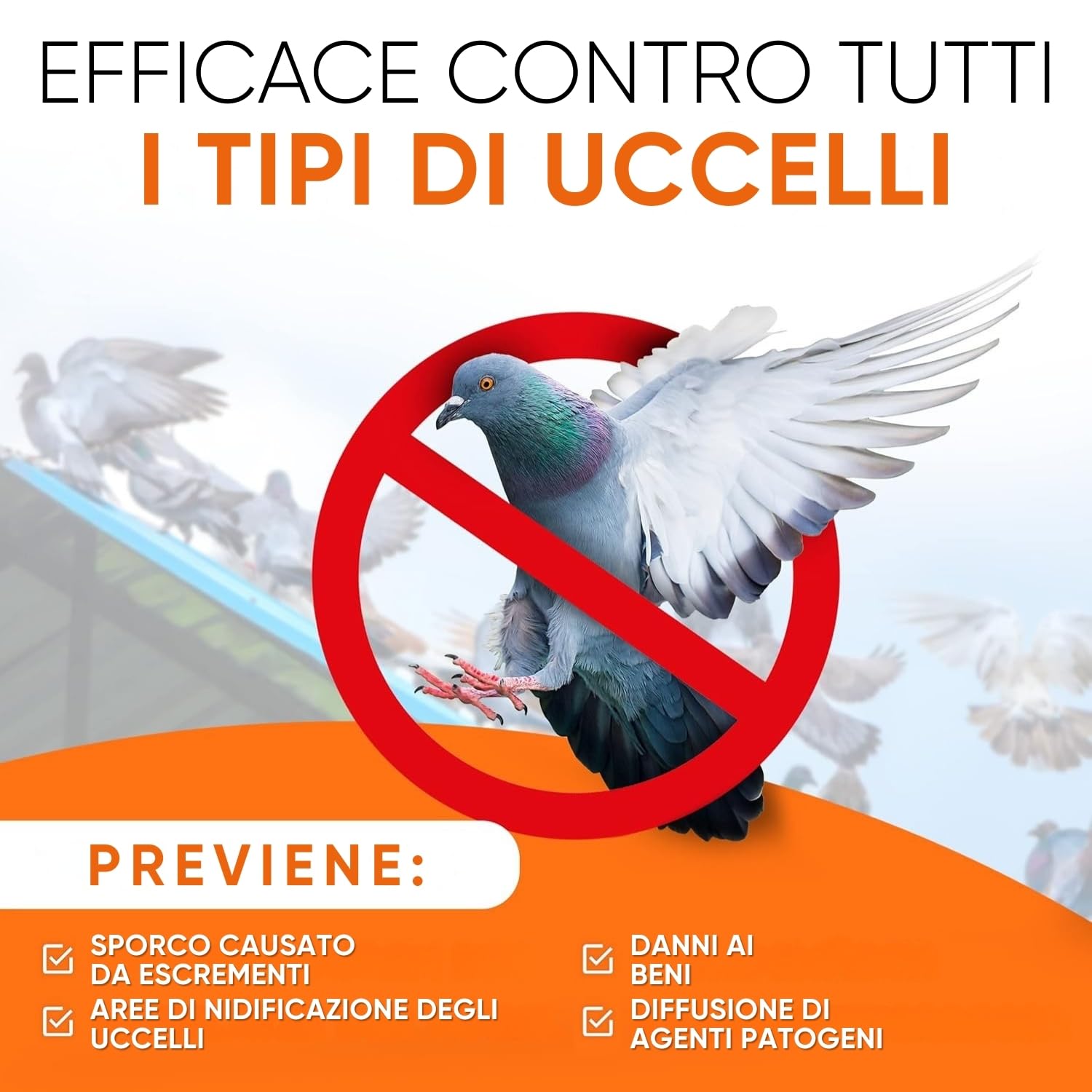 WERKTAL Dissuasore per Piccioni – Repellente Efficace e Durevole in Acciaio Inox [3 metri] – Protezione Anti Uccelli per Balcone e Finestre