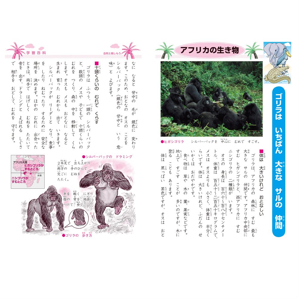 Amazon Com Showa Jl 10 5 Notebook Japonica Japanese Language 15 Squares With Cross Auxiliary Lines B5 Pack Of 5 Office Products