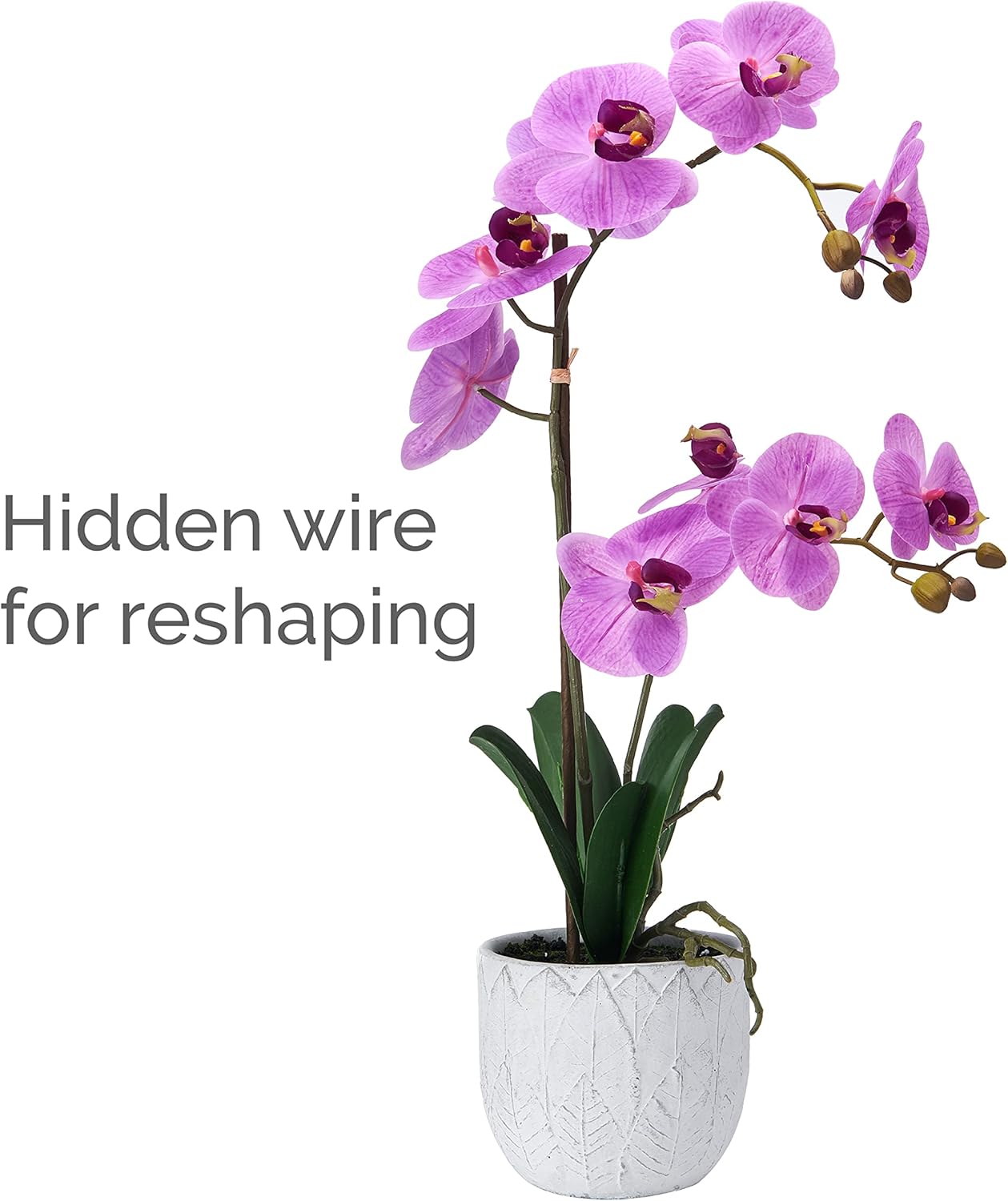 Mikasa Artificial Orchid in Pot, Real Touch Phalaenopsis Orchid, Embossed Leaf Cement Pot, 22-Inch Double Branch, Fuchsia