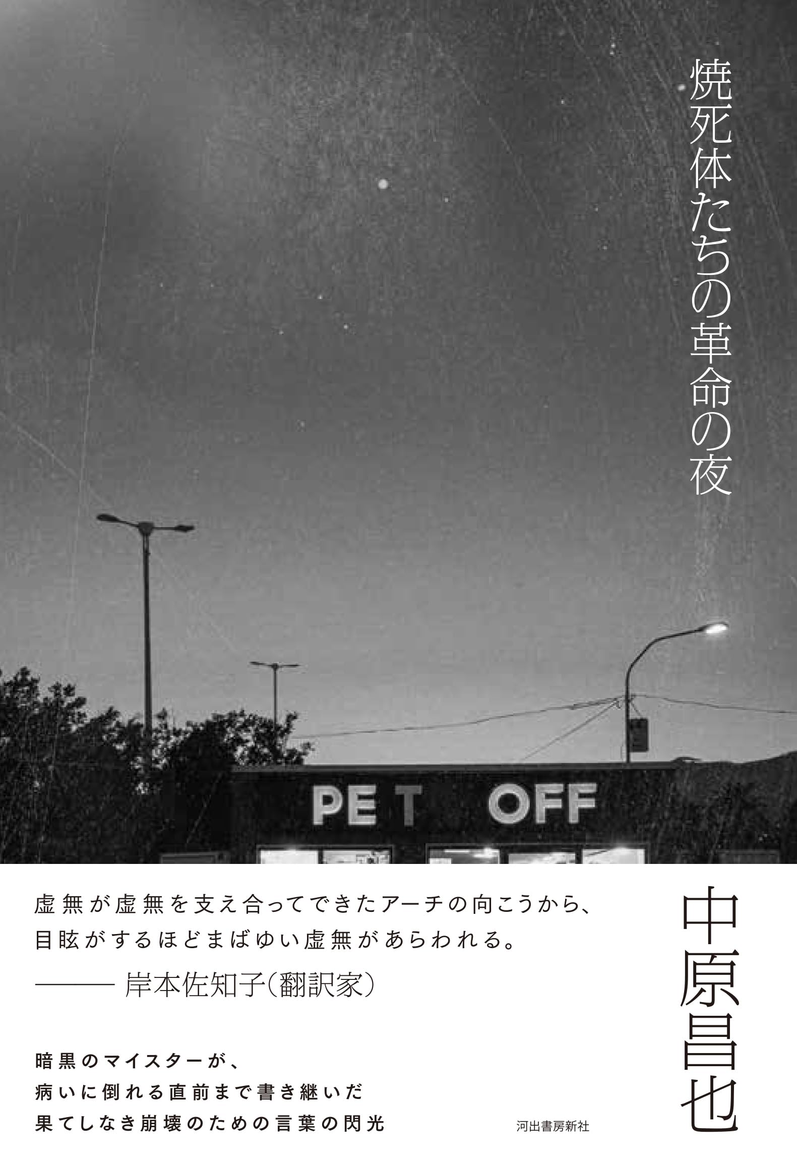 中原昌也 本セット（18冊） 僅少本・傷み汚れアリ】IQ84(あいきゅうはちよん)以下！ – Film
