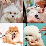 5 in 1 Dog Grooming Scissors Set with Safety Round Tips Stainless Steel Pet Grooming Kit Used for Dogs Cats Pets with Cutting Scissors, Thinning Shear,Grooming Comb