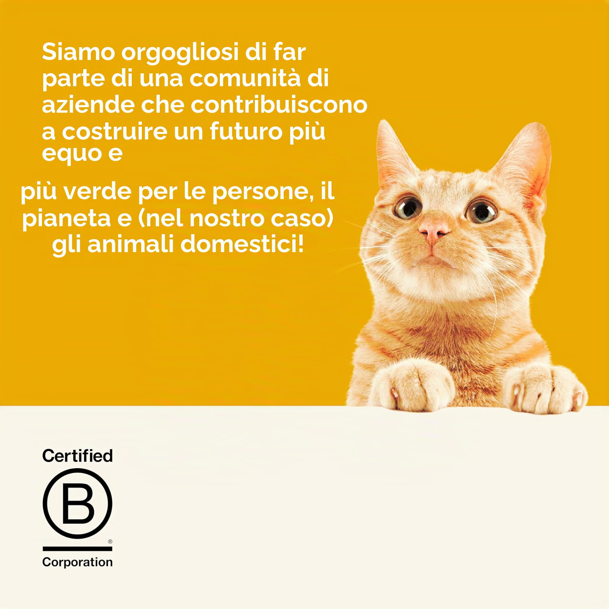 Applaws Alimenti completi per gatti adulti secchi e senza cereali di Applaws, pollo con salmone - sacchetto richiudibile da 2 kg