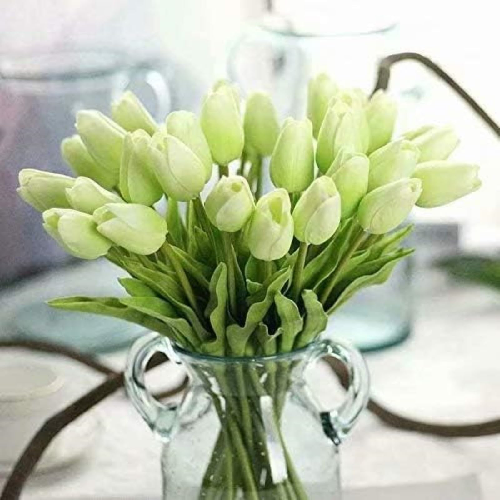 Tulip Bulbs,Flowering Rhizome,Excellent Display Indoor Perennial,Tulip Bulbs Mix,Tulip Tubers UK,Greening Flower,Balcony Garden Bulbs.-5Bulbs-C