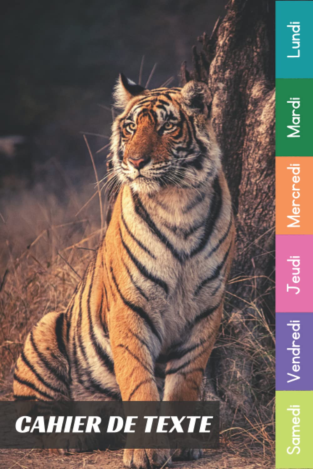 Cahier De Texte: 2021 2022 Tigre Pour Étudiants CP, CE1, CE2, CM1, CM2, Collège Et Lycée Pratique Pour Toutes Les Matières (French Edition)