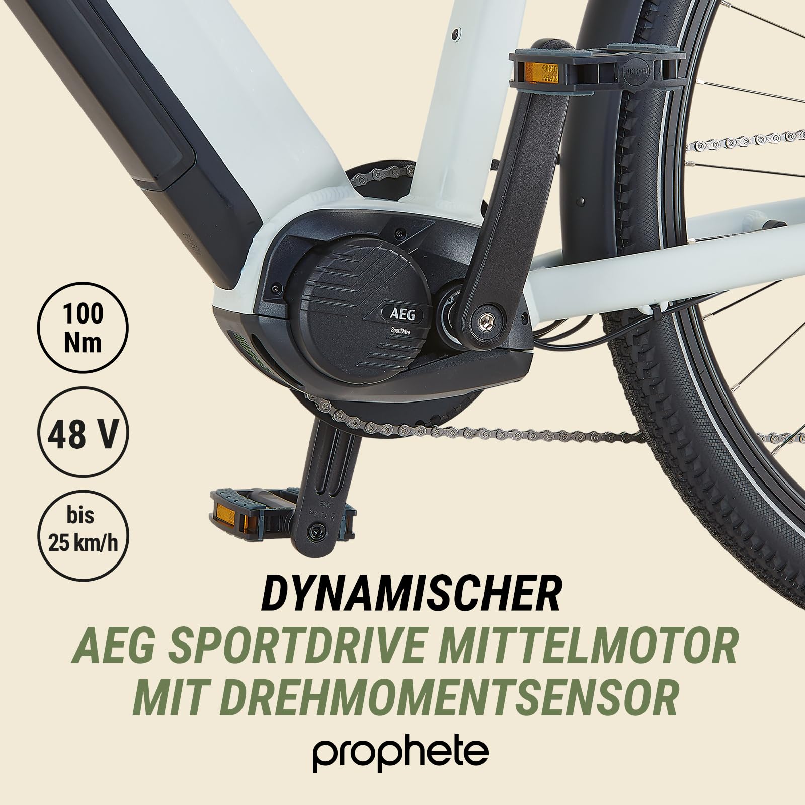 ROPHETE ENTDECKER 5.0 Damen Trekking E-Bike 28" – AEG 250W Mittelmotor, 220 km Reichweite, 10-Gang, Hydraulische Scheibenbremsen, LED-Beleuchtung, Integrierter Li-Ion Akku, Grau/Schwarz