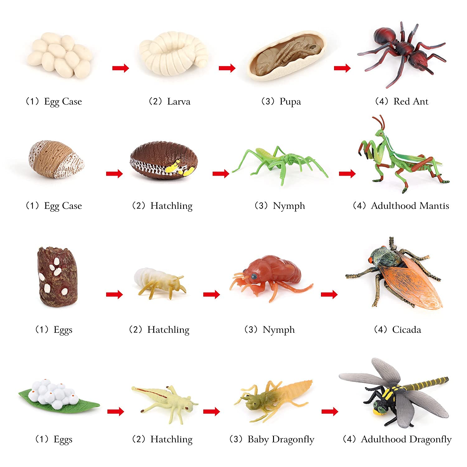 Volnau Tierfiguren-Spielzeug-Set, 16-teilig, Lebenszyklus-Spielzeug, Libelle, Mantis, Ameise, Zikaden, Tierfiguren für Kleinkinder, Kinder, Weihnachten, Geburtstag, Geschenk, Vorschule, pädagogisch