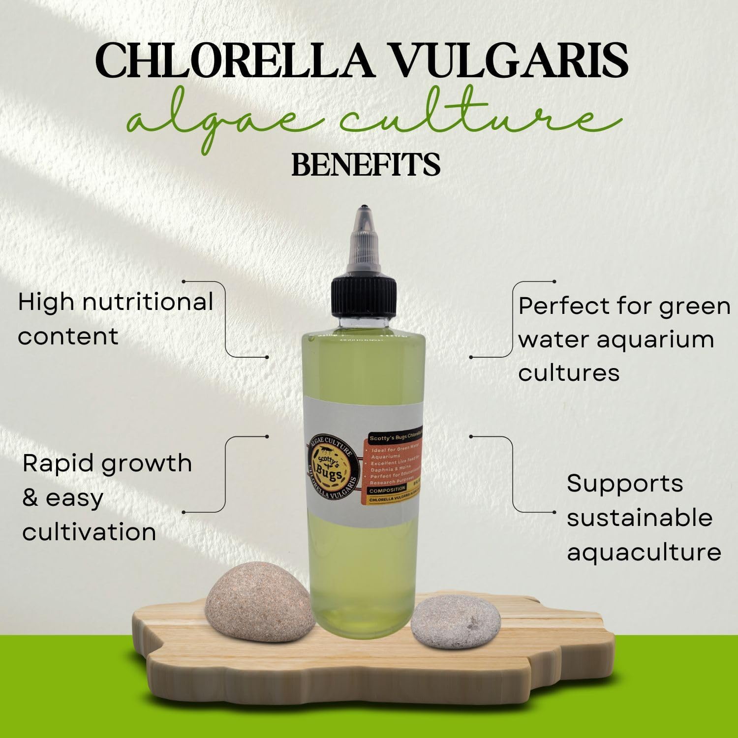 SCOTTY'S BUGS Algae Culture Chlorella Vulgaris, Great for Feed for Daphnia & Moina, Perfect for School Science Fairs/Projects, Experiments & Classrooms, 8 oz